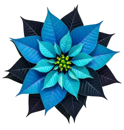 Imagen PNG para descargar